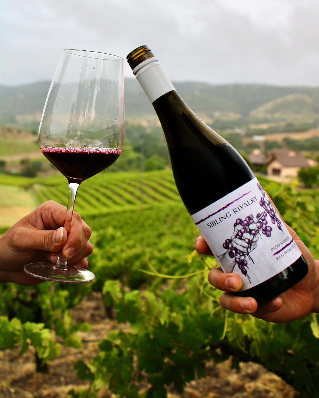 Sibling Rivalry wine shared beside a glass in the vineyard